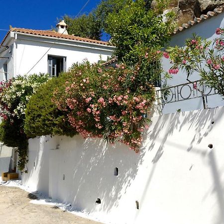 Sto Roloi Island Houses Hotel Poros Town Buitenkant foto